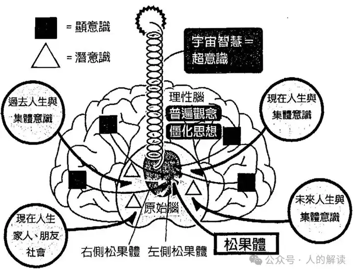 神奇的松果体，奥秘远超想象-人的解读