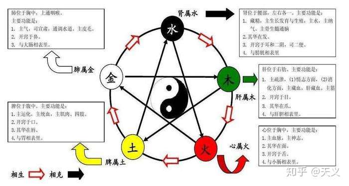 五行 学说的意义以及其中的哲学内涵 知乎