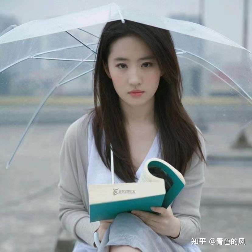 美人如画 知乎