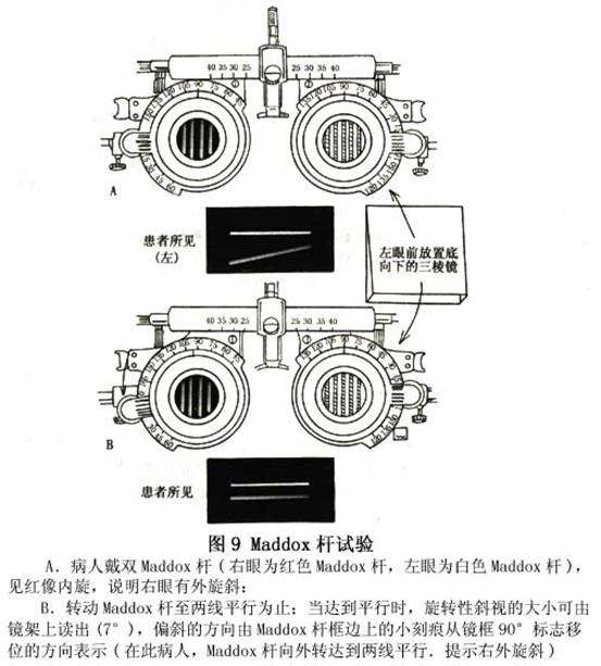 马式杆测隐斜时为什么偏振片有红有白?