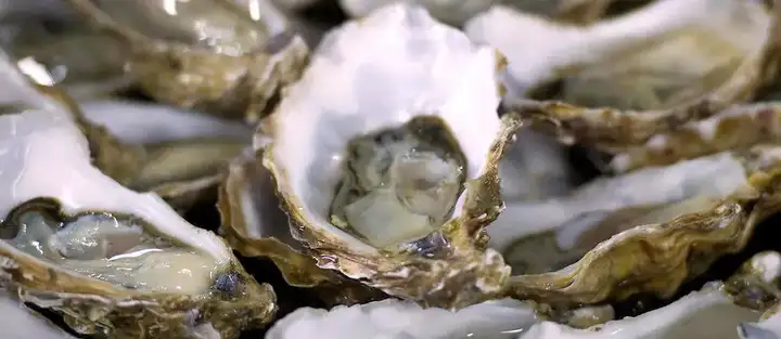 不只有烤火鸡?!外国人说他们圣诞节还会吃更多好吃的!