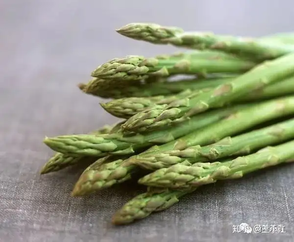 忻州为什么是历史龙套王--及芦芽山旅游攻略