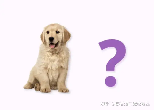 健康狗狗（爱犬健康问题怎么办，Wellness宠物健康悄悄告诉你健康的奥秘）