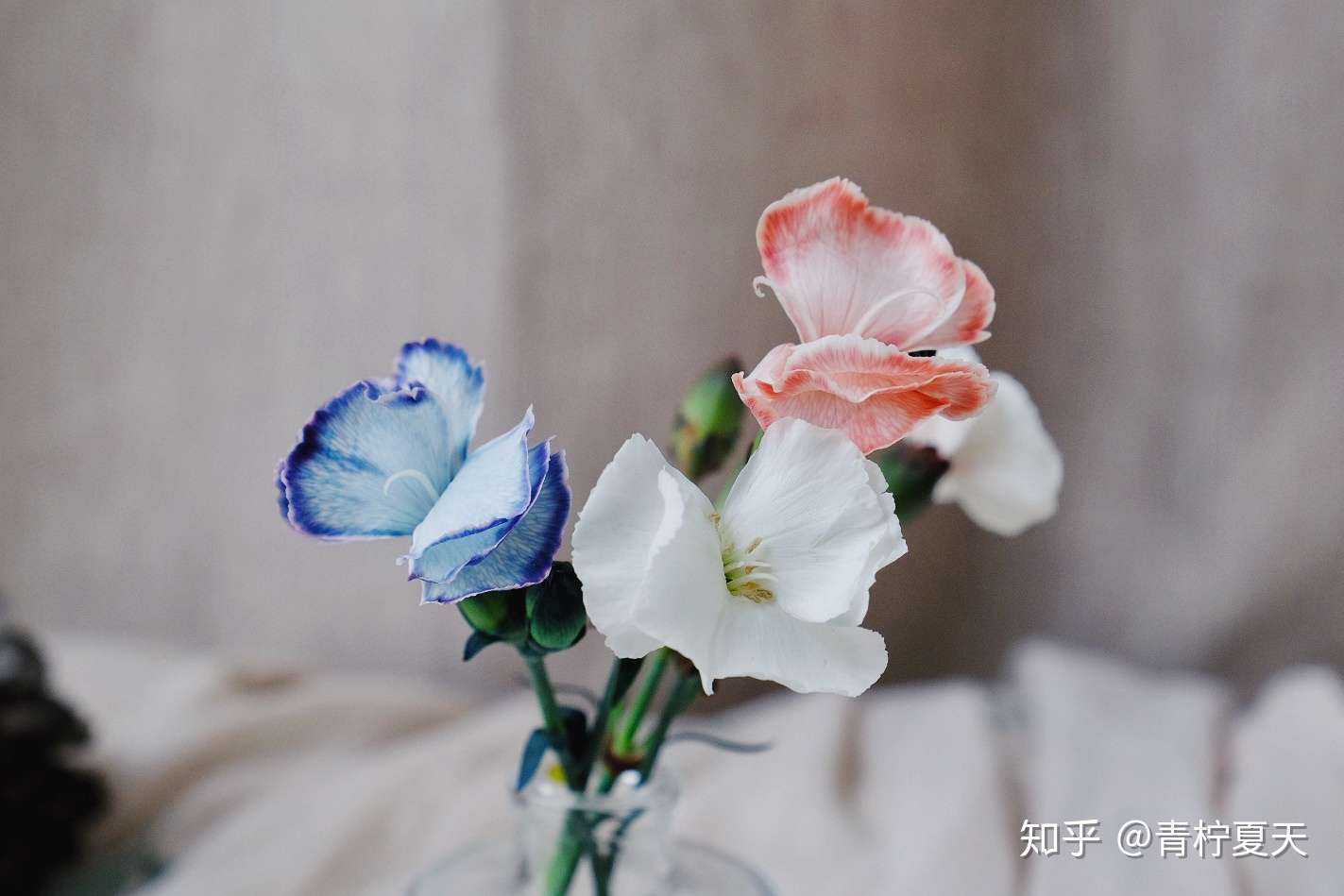 插花笔记vol 6 愈到深秋 初次鲜花吸色 秋天的花束制作 知乎