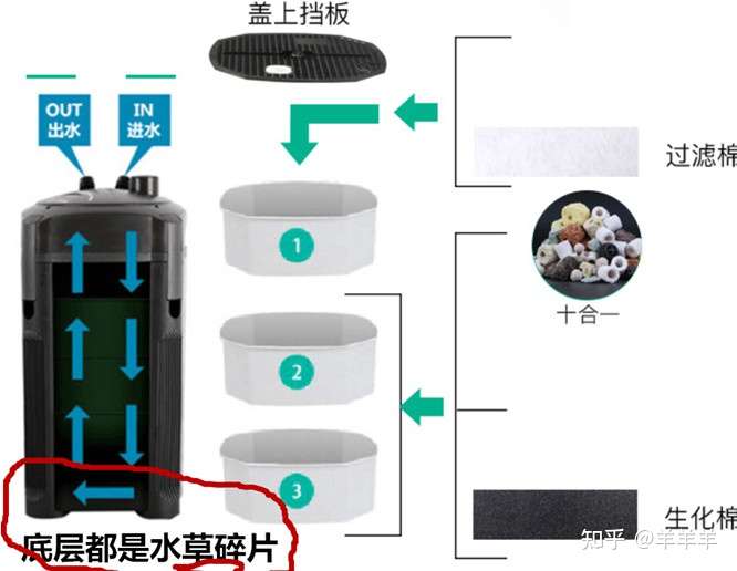 新手养水草缸入门攻略大全 知乎