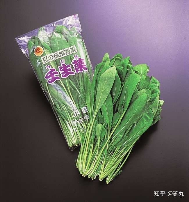 水菜与壬生菜 京都有啥骨骼清奇的蔬菜 知乎