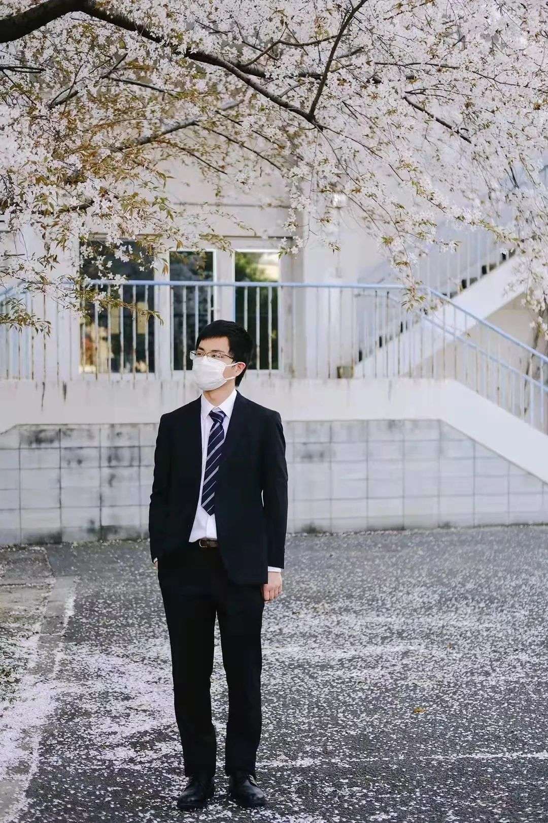 樱花树下还有什么故事 入学式 新の扉 知乎