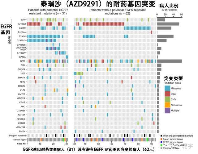 肺癌三代药物泰瑞沙的耐药原因和应对办法 知乎 肺癌三代药物泰瑞沙的耐药原因和应对办法 知乎