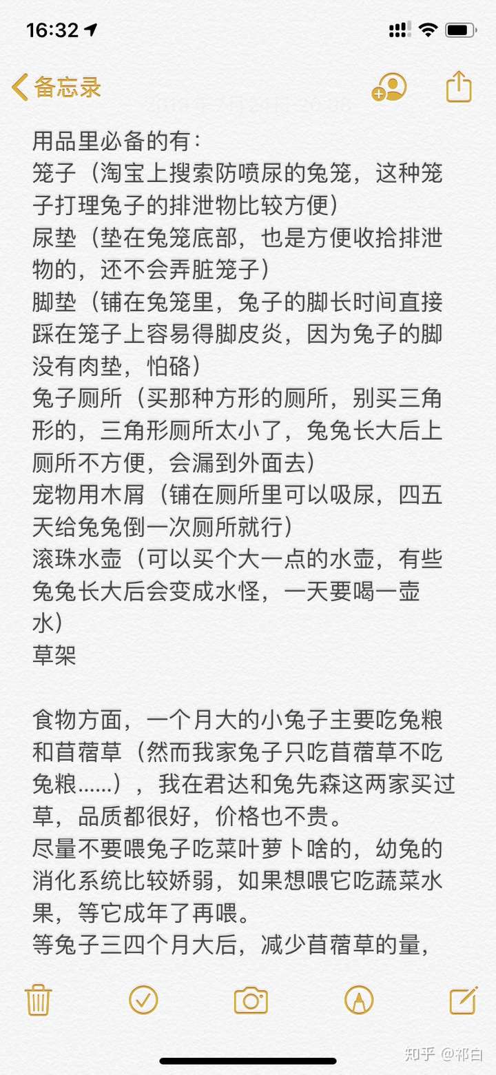 新手养兔子有什么需要注意的
