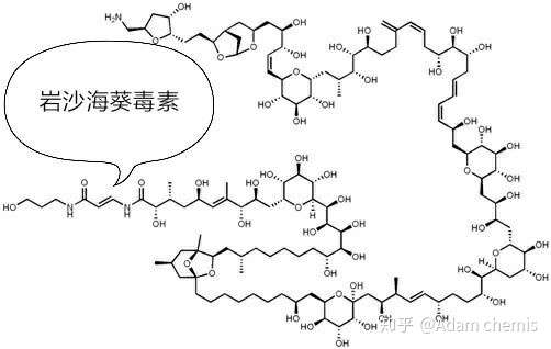 紋身想紋化學式,好多紋多巴胺的,那我能不能紋個內啡肽?