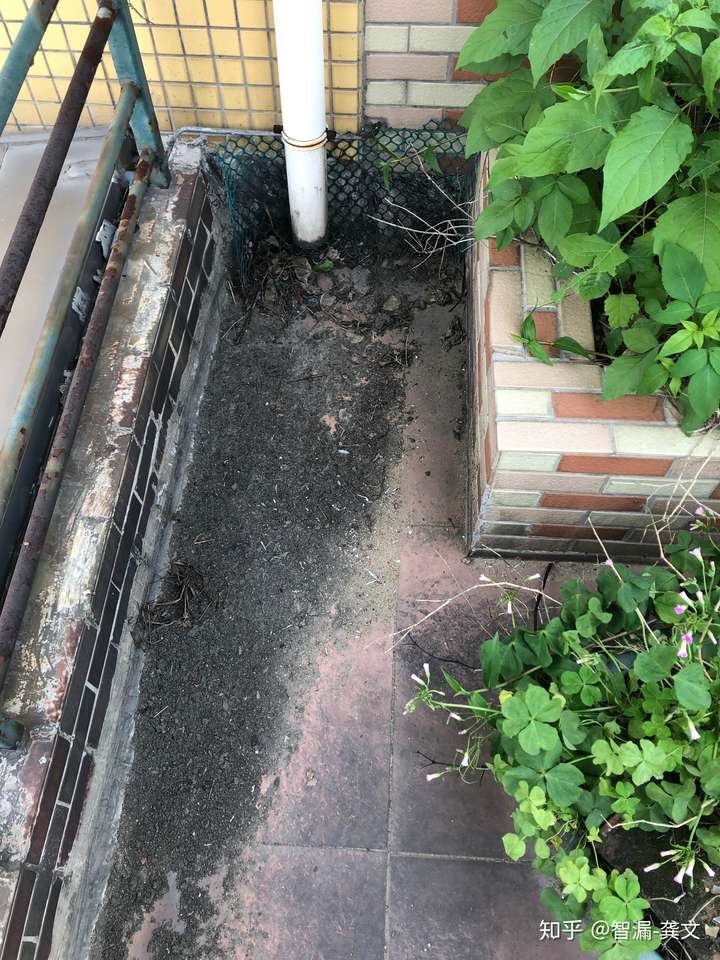 楼顶种菜菜地里面会长期潮湿积水,会不会破坏防水层导致房子漏水啊?