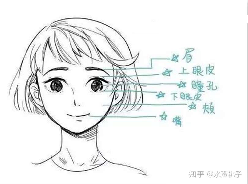 漫画创作 动漫人物表情难点解析 绘画干货 知乎