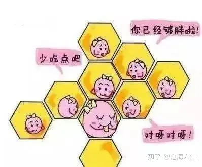 你是从哪里来的？今天来聊聊精子和卵子的爱情故事！ - 知乎