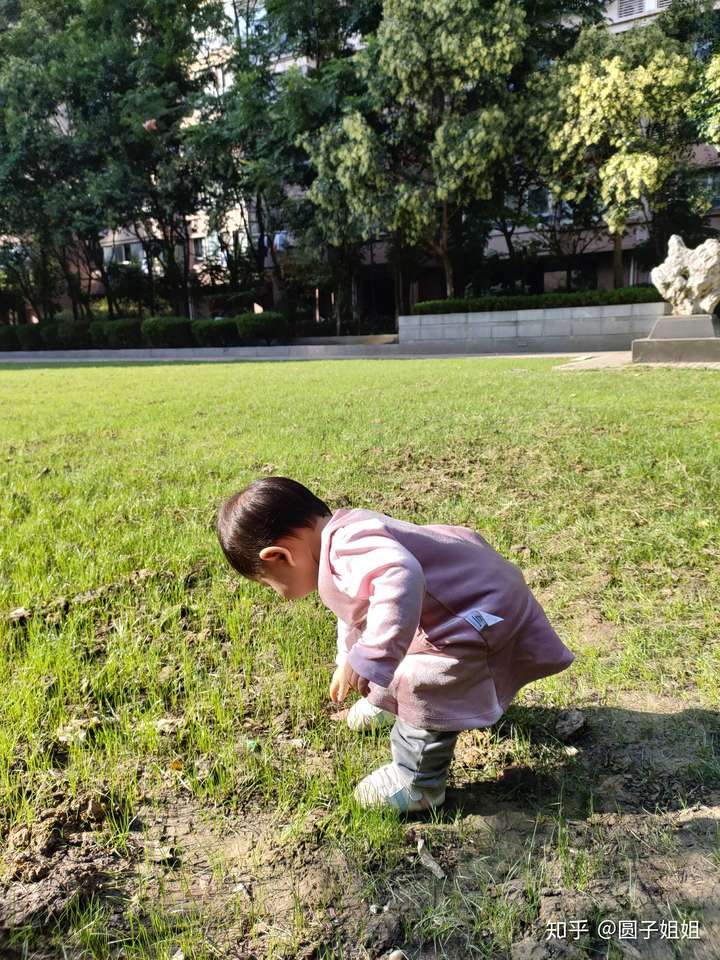 13到15个月宝宝身体基本发育指标智能体征运动语言认知生活与交往