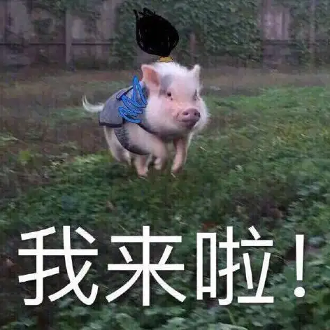 适合端午节发的朋友圈文案来啦~