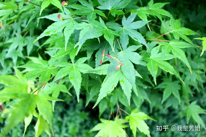 培训学习总结