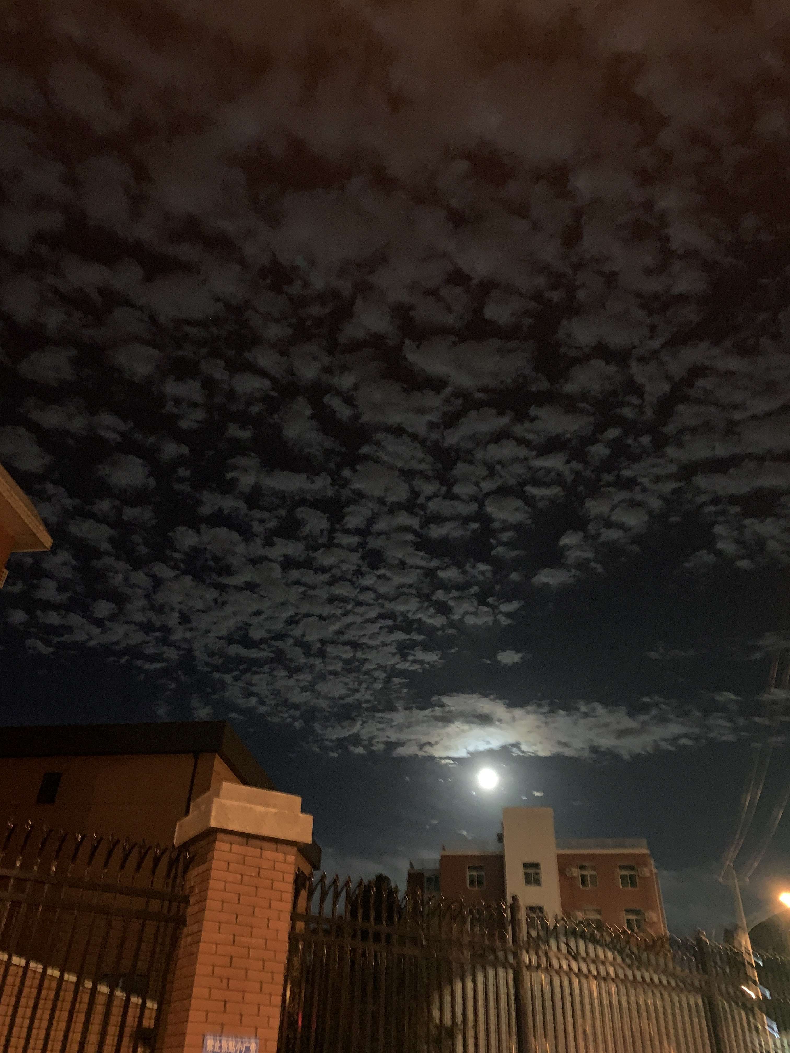 刘金铭 的想法  夜深人静的天空