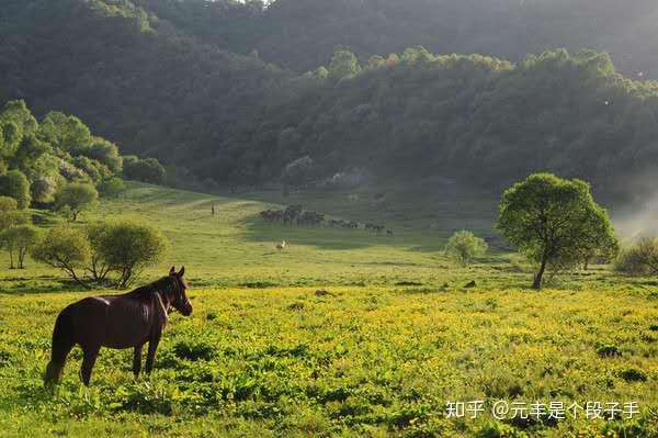 宝鸡 关山牧场 知乎