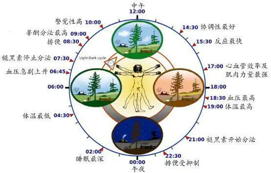 4 6月龄宝宝睡眠问题大解析 知乎