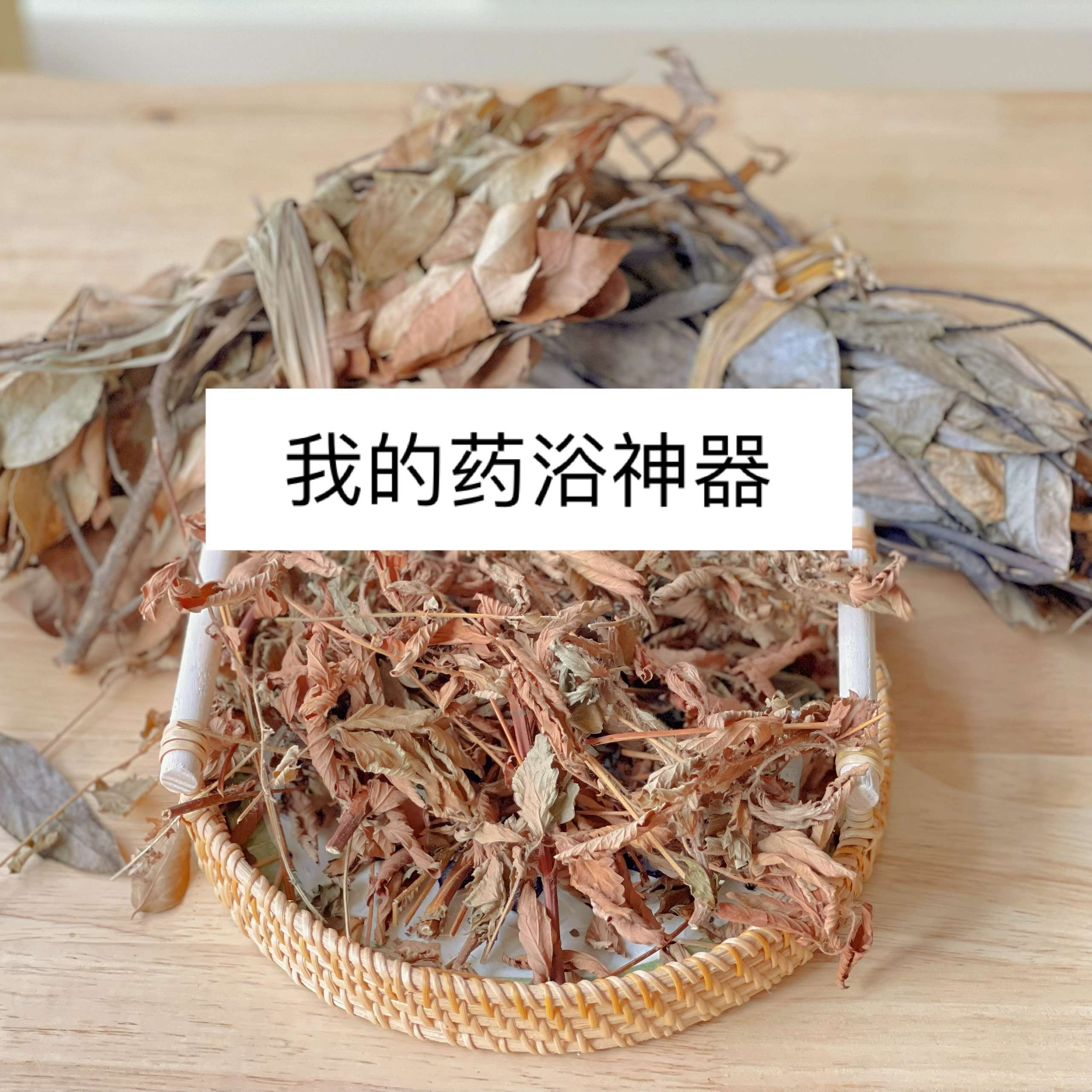 鱼骨菜图片野菜图片