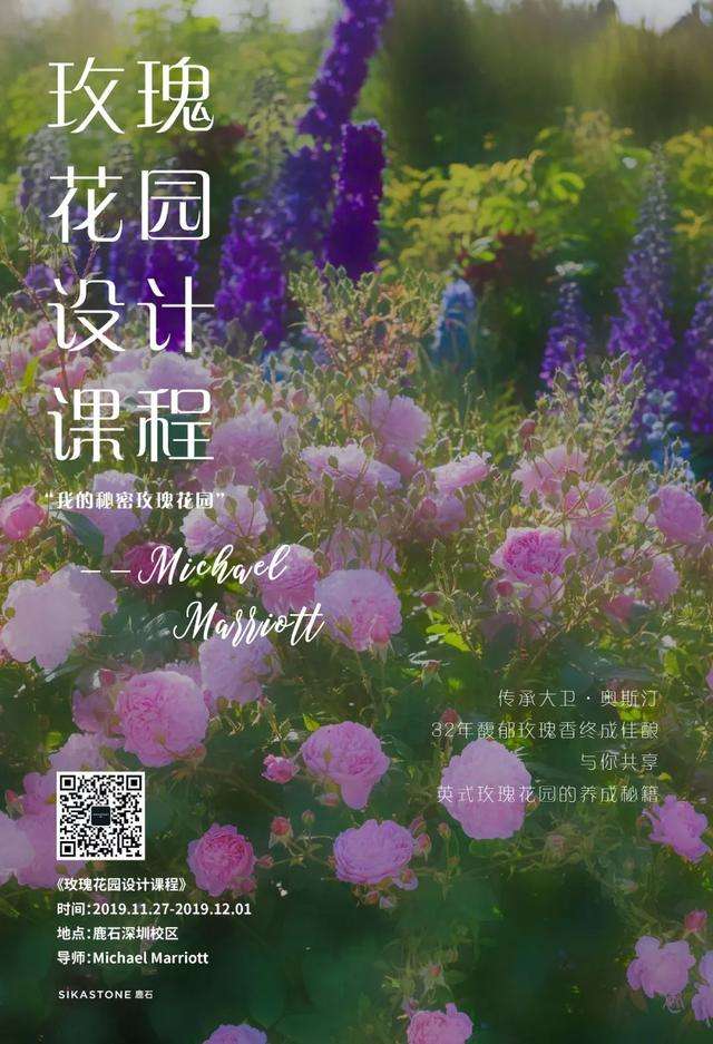 大卫 奥斯汀首席专家 教你打造馥郁玫瑰花园 知乎
