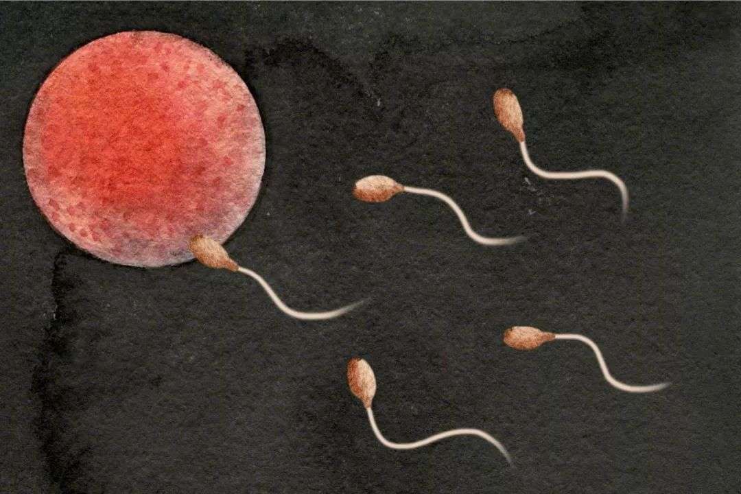 单身女性何必焦虑 物质给的安全感比男人靠谱多了 知乎