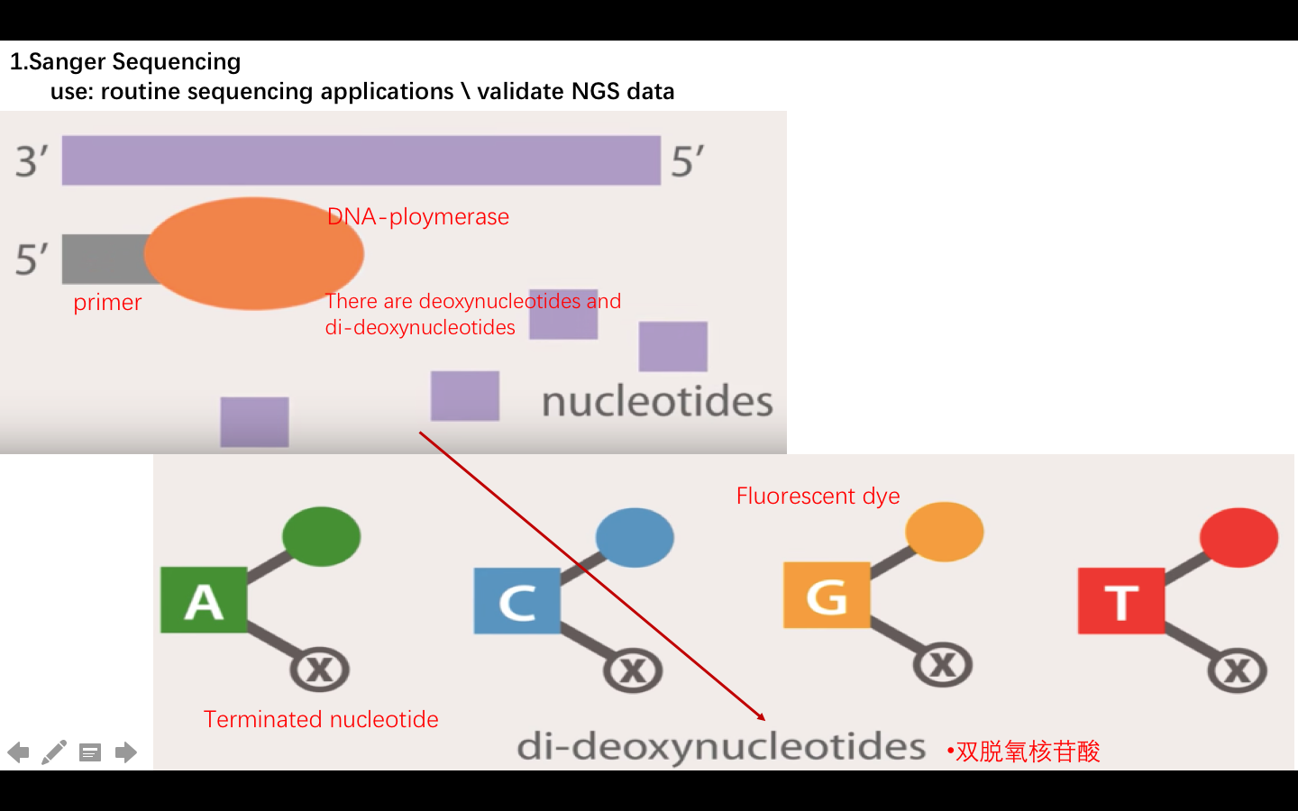 Ngs Sanger Sequencing 知乎