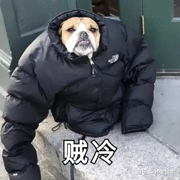 留学行前准备，看这一篇就够了！