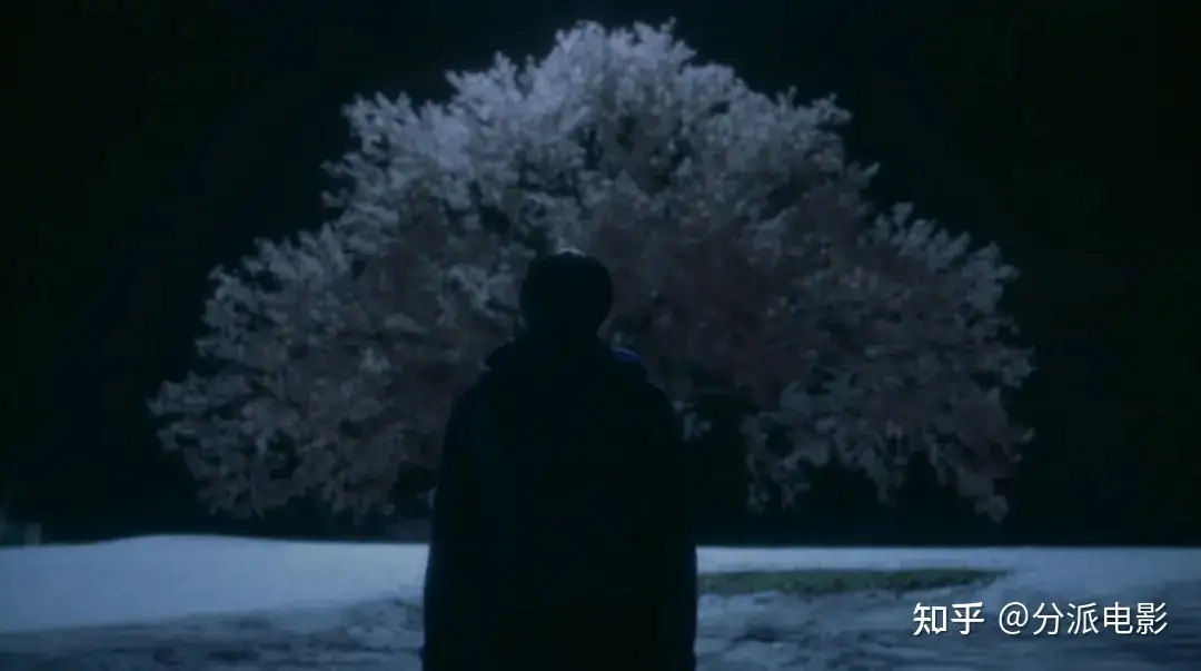 《秒速五厘米》经典动漫拍真人版，每帧都是回忆杀！