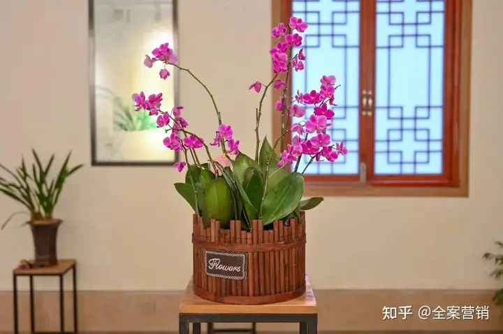 争创天府旅游名县｜再见2022，细数那些时光里的小美好