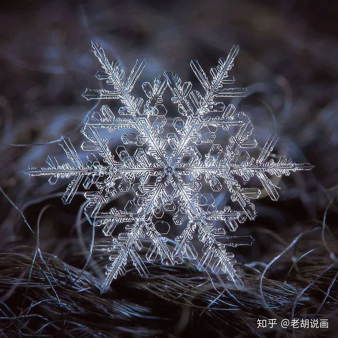 摄影 雪花可以有多美 知乎