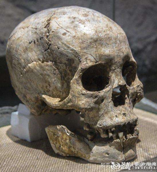 南方的砾石石器砍砸器系统北方细石器东南亚地区考古 知乎