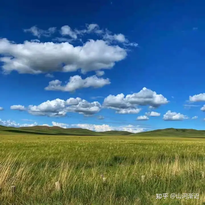 天津公司团建旅行丨坝上草原+张北草原丨云上天路越野丨七彩漂流丨真人cs丨篝火晚会丨周末2天就够了