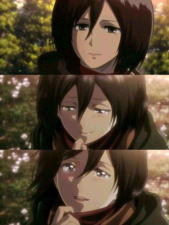 戴着围巾的三笠