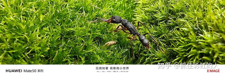 华为Mate50E,Mate50,Mate50Pro,Mate50RS四款机型怎么选?很纠结插图27 华为Mate50E,Mate50,Mate50Pro,Mate50RS四款机型怎么选?很纠结插图27