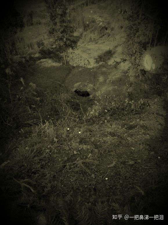 灵异故事大搜罗之夜行乱葬岗