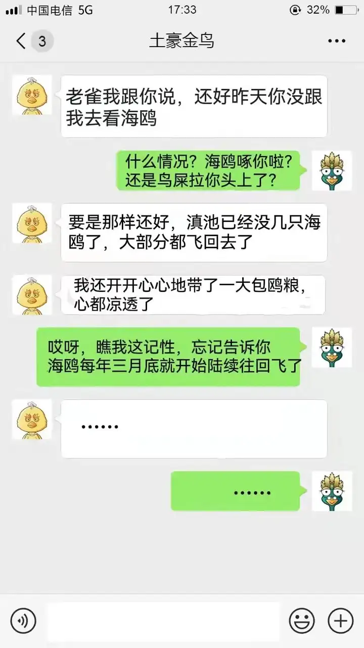 辞别海鸥，来年冬天做个有学识的赏鸥人