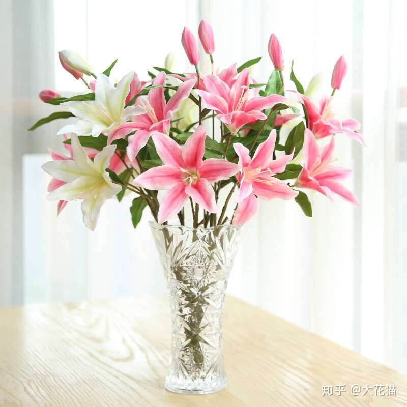 如何挑选百合花 知乎