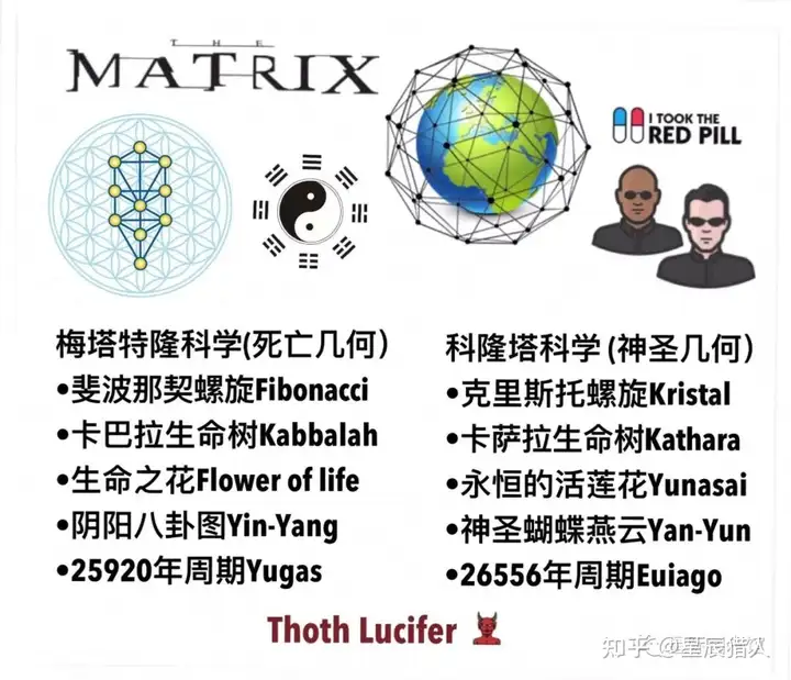 死亡之花和生命之花的区别(图4)