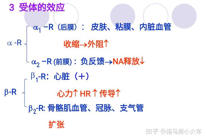 贝塔β受体阻断药的共同药理作用是什么