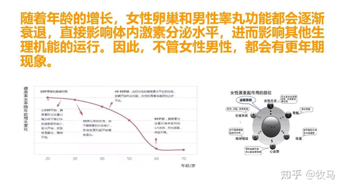 蜂王浆主蛋白与更年期健康 知乎