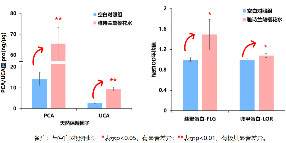 产品分析 雅诗兰黛微精华露祛闭口 基础颜究 知乎