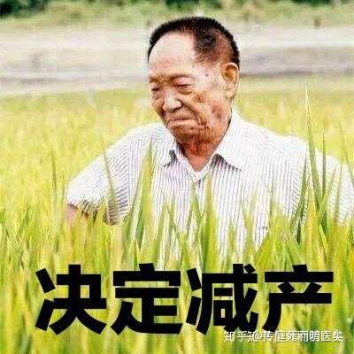 有没有人吃过袁老的杂交水稻?是什么味道?