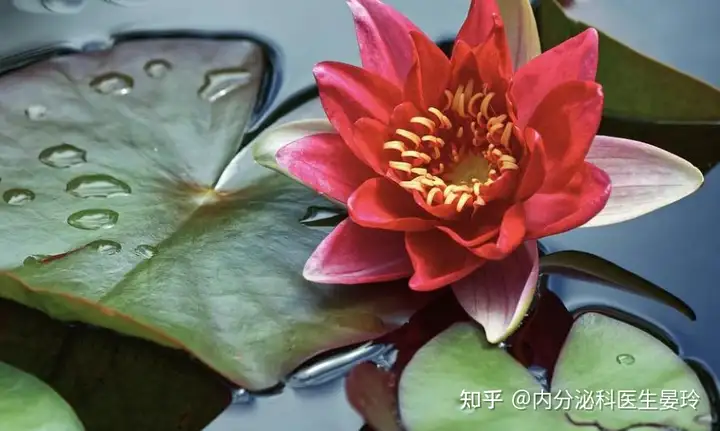 夏至美食的正确打开方式