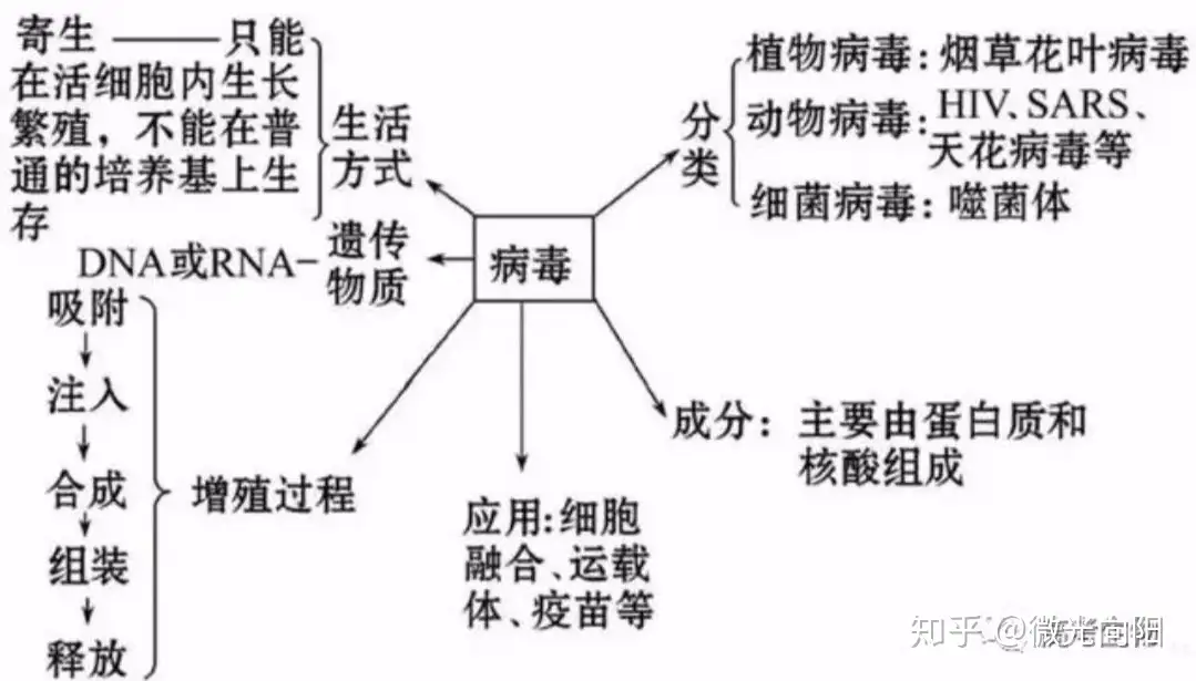 高中生物 看这一篇就够了 挑战全网最全必修一笔记 详细笔记 经典例题 保你考试80 啦 知乎