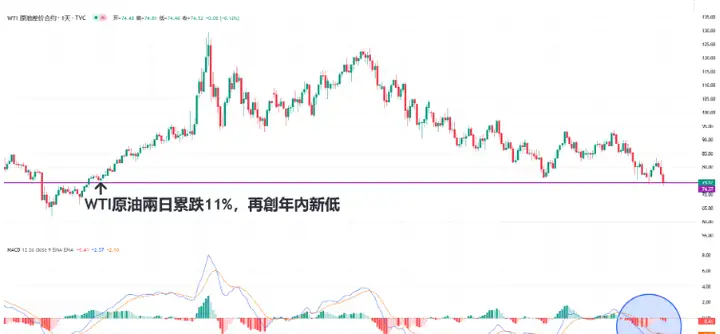 WTI原油：重挫近5%创年内最低！俄罗斯或出台“价格下限”（WTI原油）俄罗斯原油资本价，