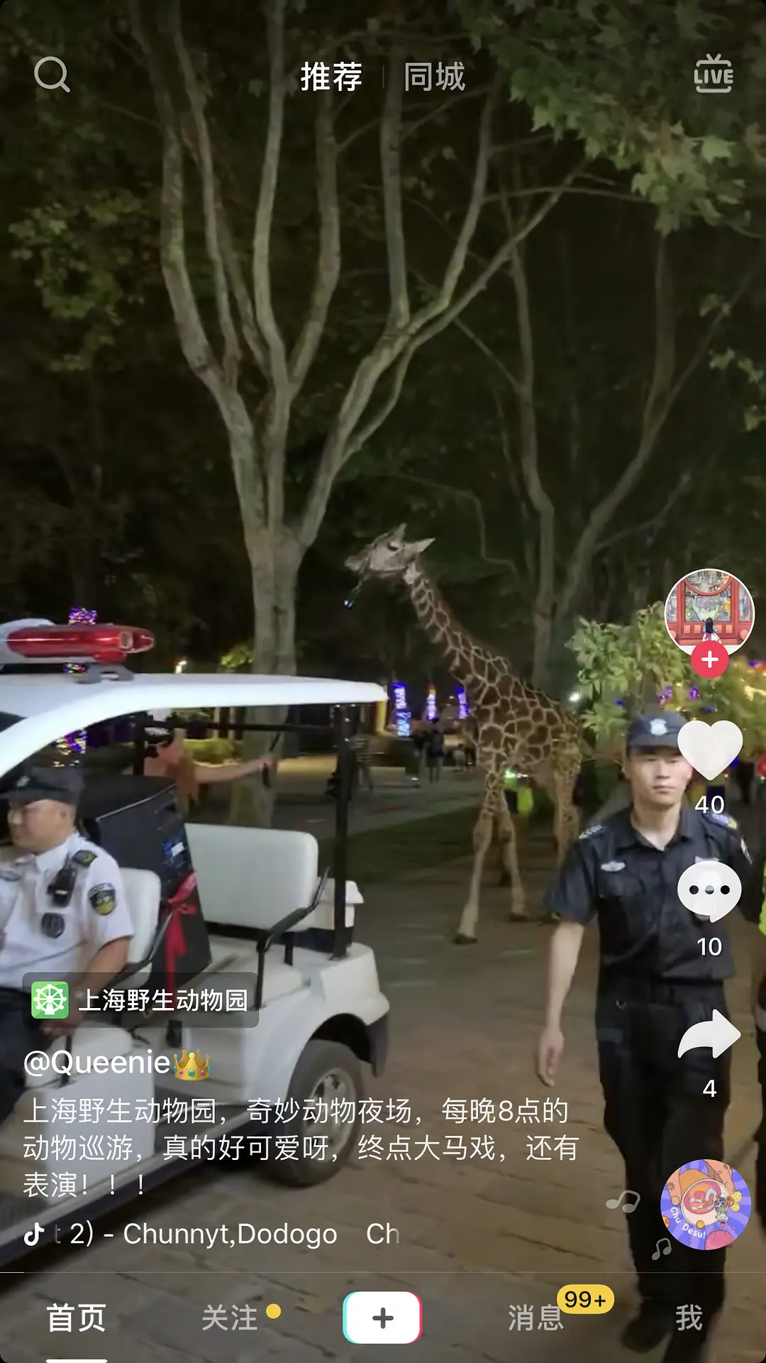 上海野生动物园熊吃人事件又有爆料 是谁先动的手 知乎