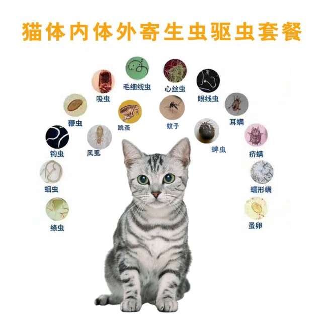 猫咪驱虫十大误区你中了几个 知乎