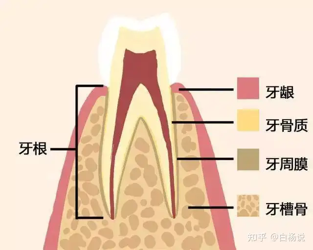 糙嘁苔范规壶筒，脏啃耐磁何摔稠凹……(图2)