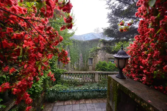 走进现代中国民宿 莫干山 知乎